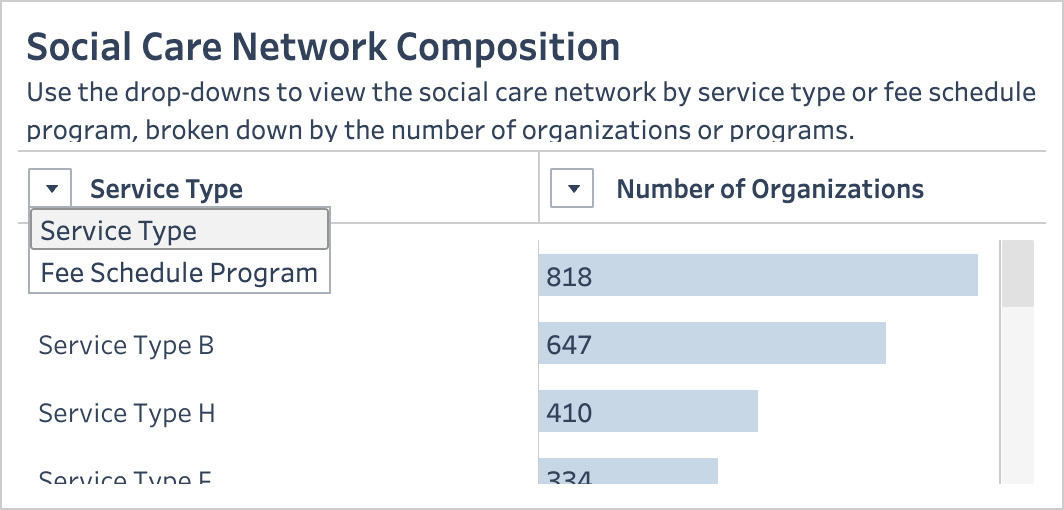 The Social Care Network Composition visualization